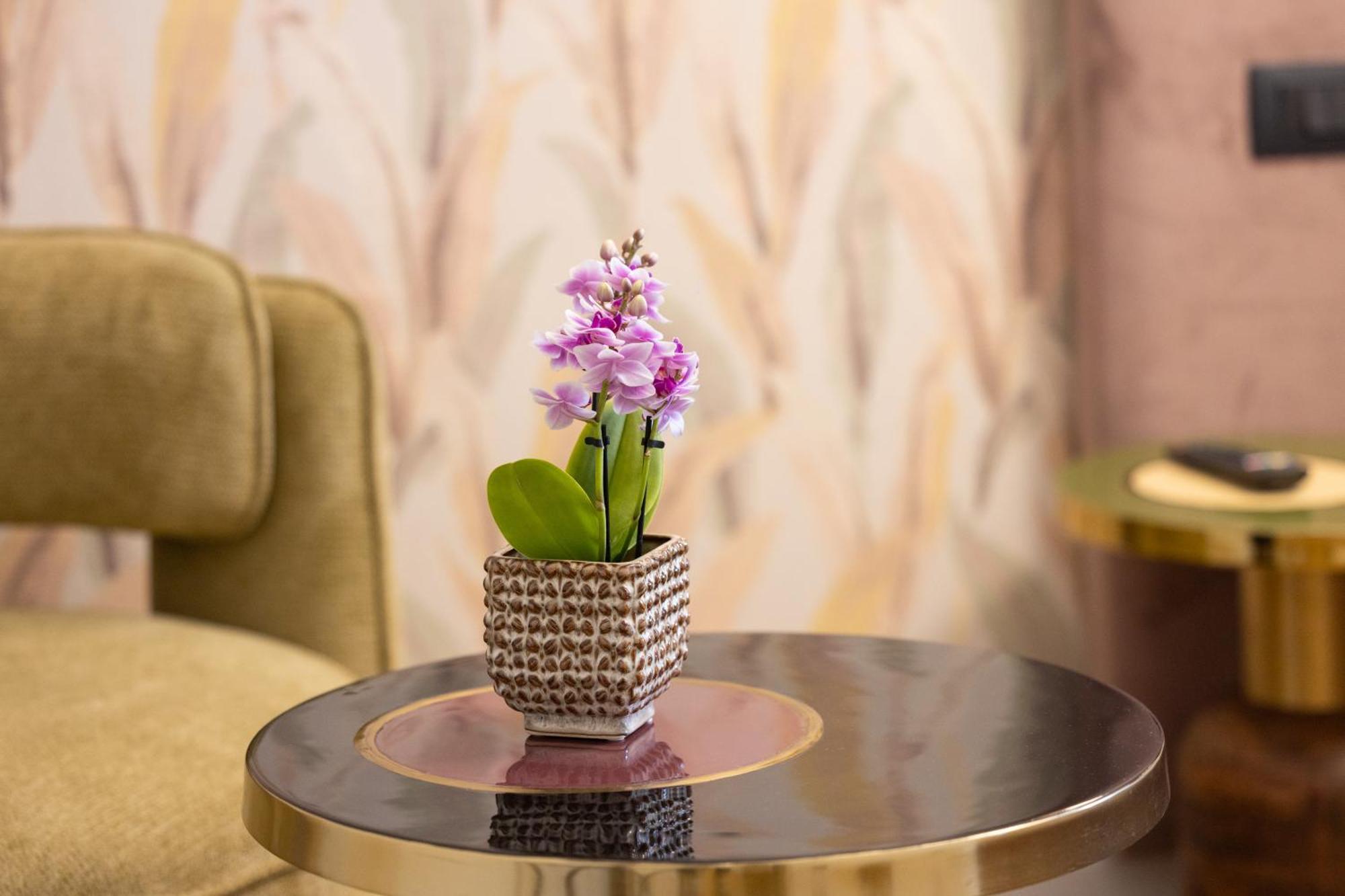 Bed and breakfast Mavi Luxury Roma