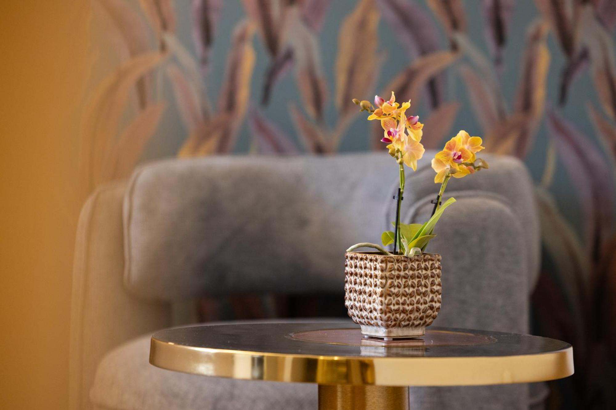 Mavi Luxury Acomodação com café da manhã 